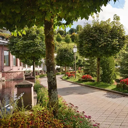 Hotel Dollenberg-2